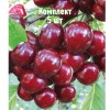 Комплект 5шт / Вишня Игрицкая